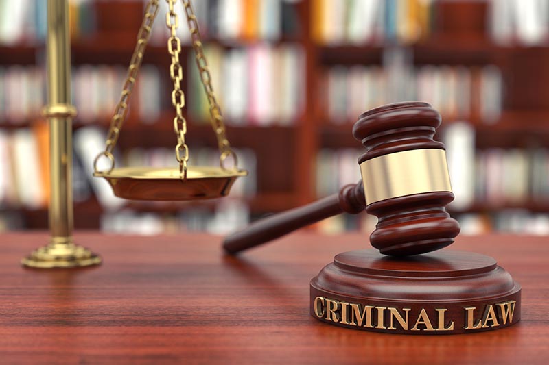  Criminal Defense Lawyer